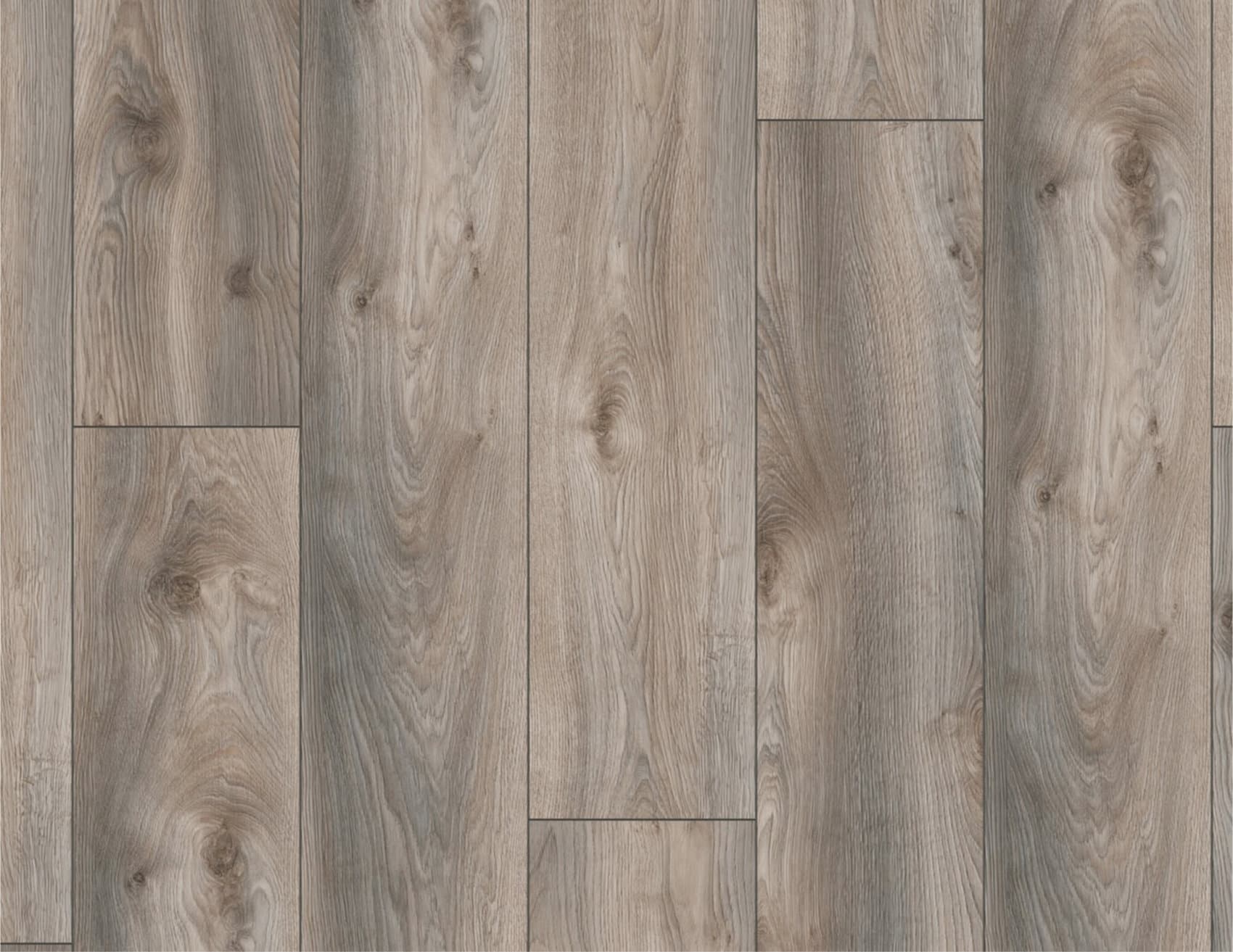 Laminat Makro Eiche Grau