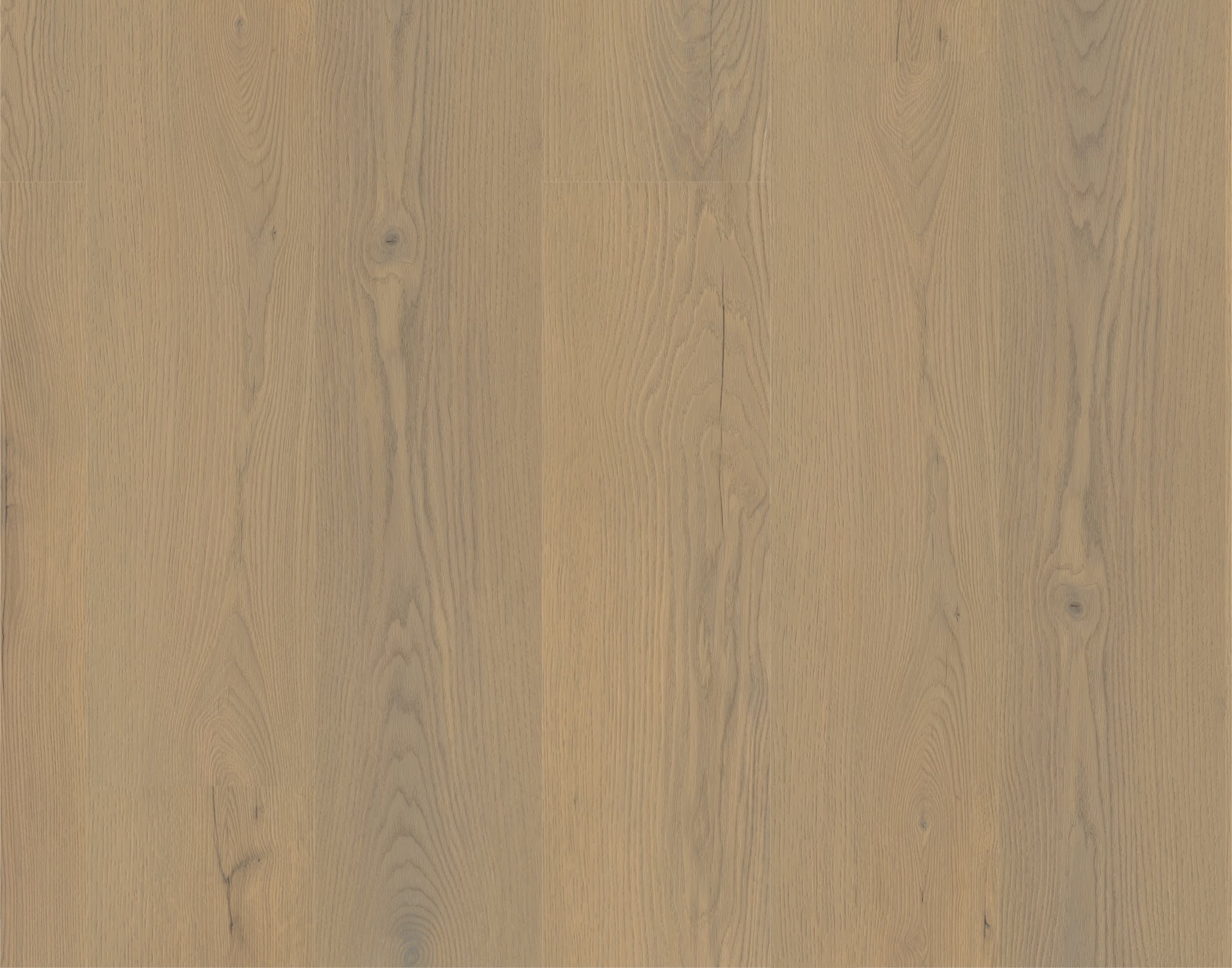 Rigid-Vinyl Authentic Ardenne