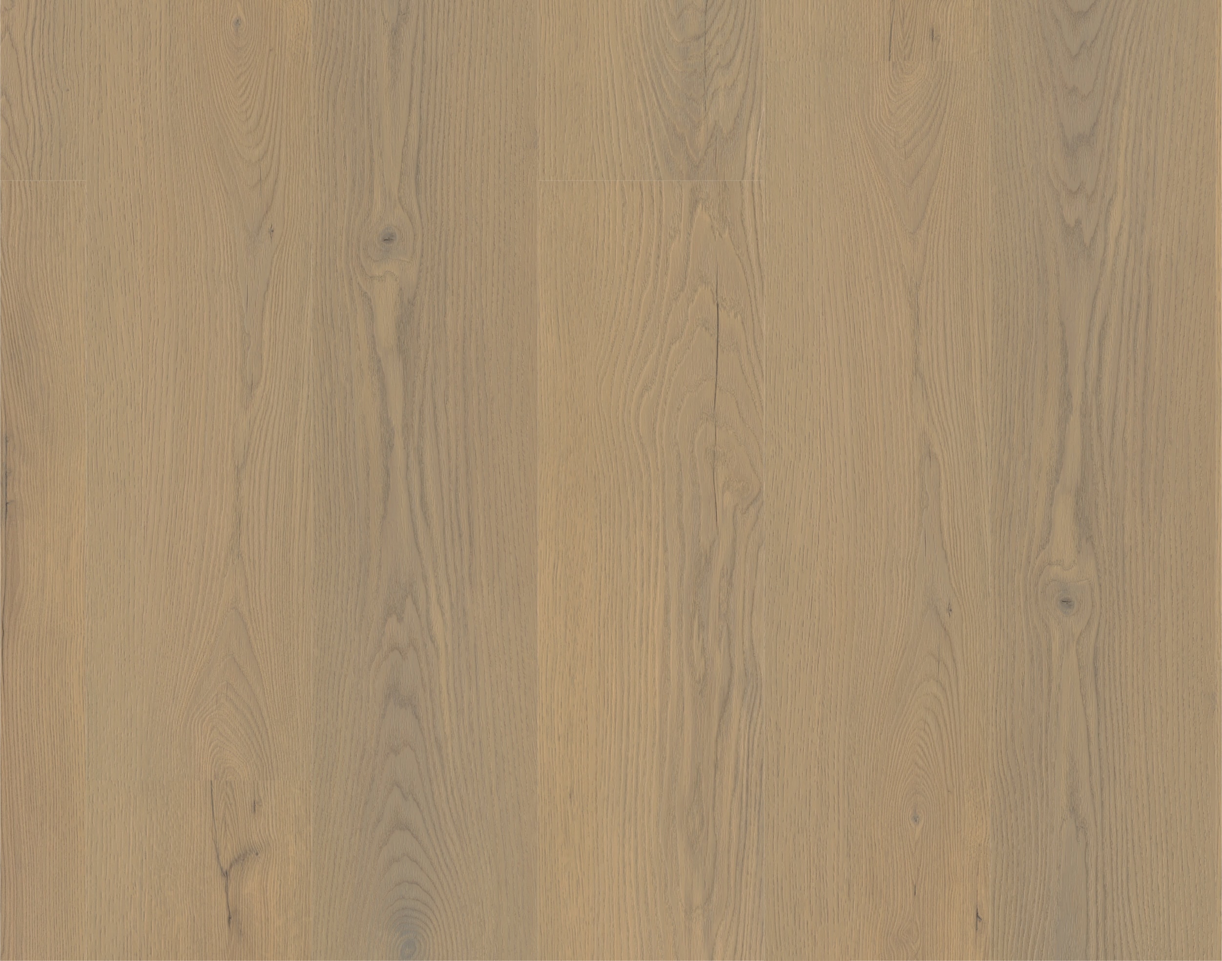 Rigid-Vinyl Authentic Ardenne