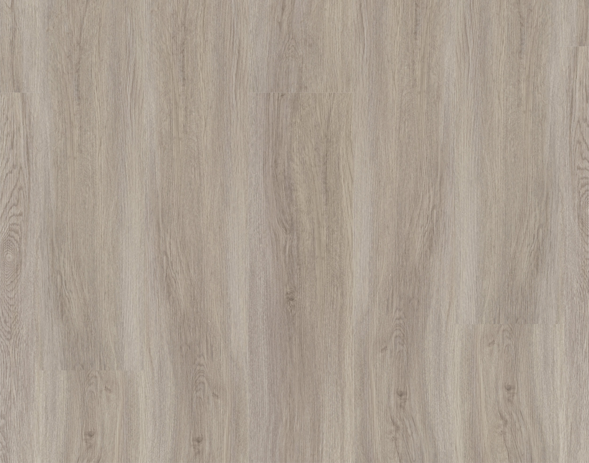 Rigid-Vinyl Harmony Oak Silver