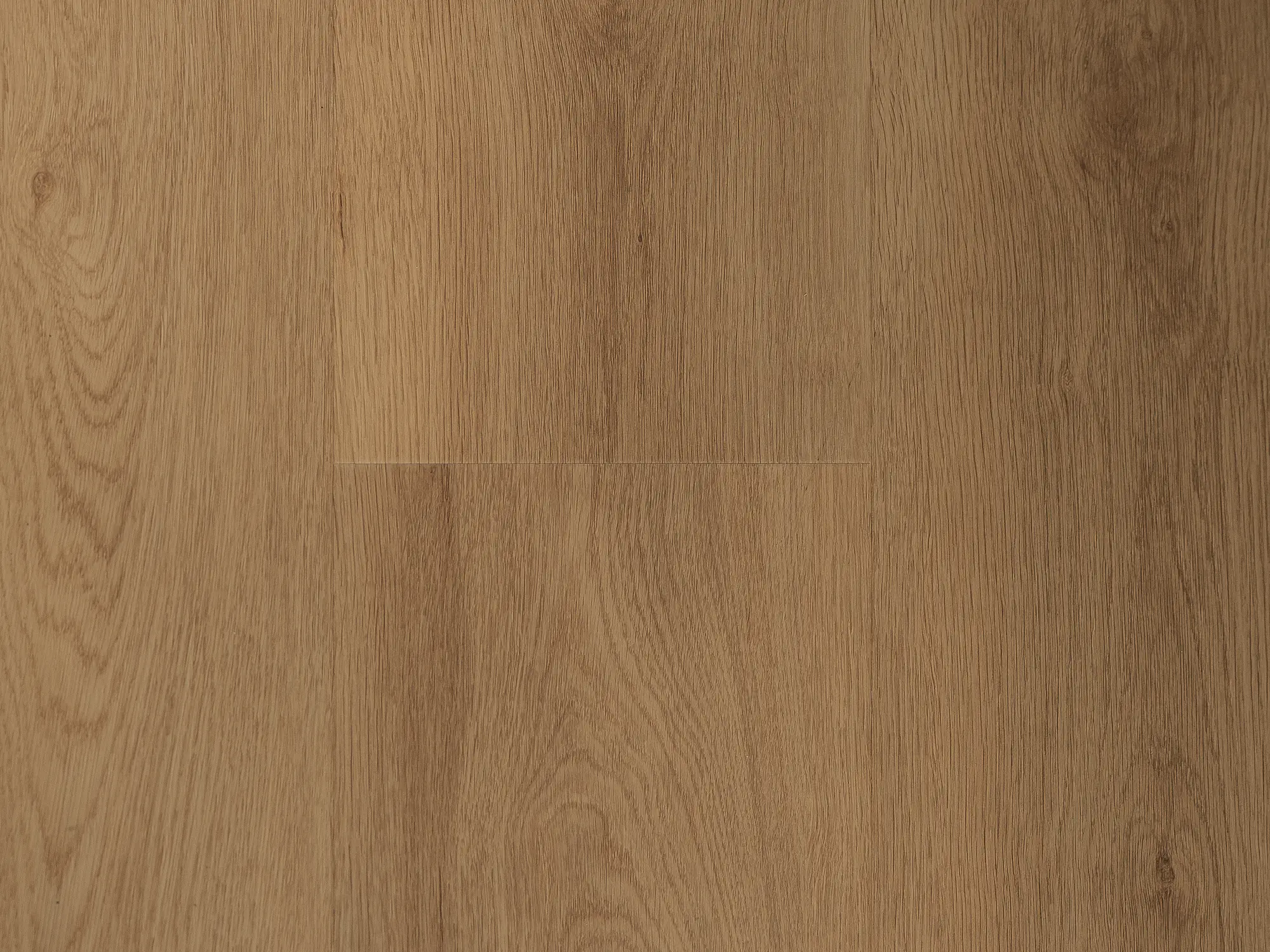 Rigid-Vinyl Valence Nature